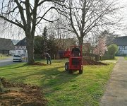 2025-04-11 - Arbeitseinsatz Thie- und Kirchplatz (08)